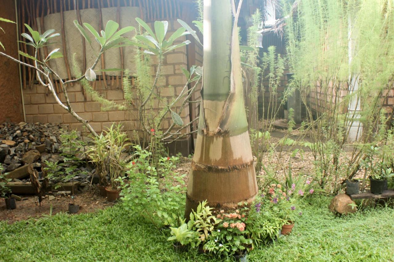 The Mango Leaf Hotel Matara Exterior photo